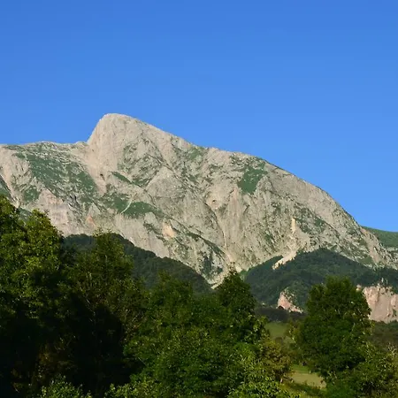 Ravne